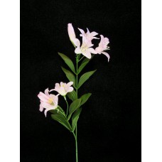 Tiger Lily, light pink (lot of 24)