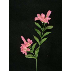 Tiger Lily, mauve (lot of 24)