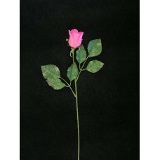 Rosebud, beauty (lot of 36)