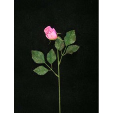 Rosebud, dark pink (lot of 36)