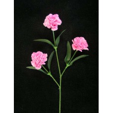 Carnation Spray, dark pink (lot of 24)