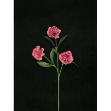 Carnation Spray, mauve (lot of 24)