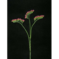 Statice Spray, burgundy (lot of 48)