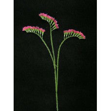 Statice Spray, fuchsia (lot of 48)