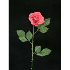 Deluxe Rose, light burgundy (lot of 12)