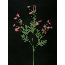 Mini Daisy Spray, burgundy (lot of 24)