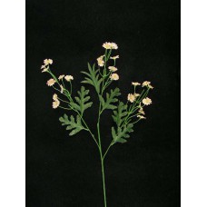 Mini Daisy Spray, light peach (lot of 24)