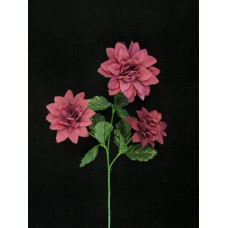 Dahlia, dark mauve (lot of 24)