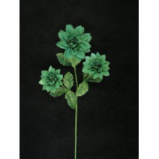 Dahlia, hunter green (lot of 24)