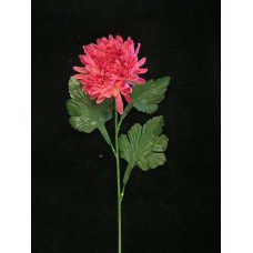 Single Fuji Mum, hot pink (lot of 12)