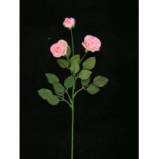 Tea Rose, pink (lot of 24)