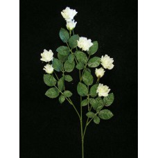 Small Diamond Rose, cream (lot of 24)