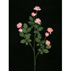 Small Diamond Rose, pink-shrimp (lot of 24)