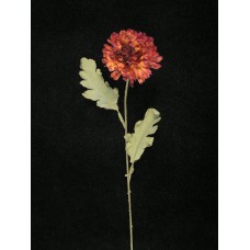 Dried-Look Mum, burgundy (lot of 24)