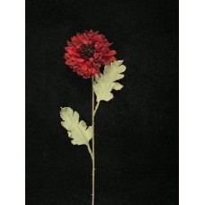 Dried-Look Mum, red (lot of 24)