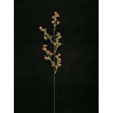 Flocked Statice Spray, mauve (lot of 36)