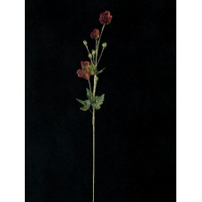 Handwrap Poppy, brick (lot of 12)