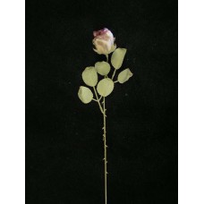 Dried Rosebud, lavender ((Lot of 1 Poly Sleeve - 12 Pcs. Per Sleeve)