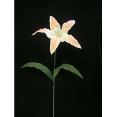 Handwrap Tiger Lily, peach (lot of 24)