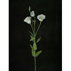 Handwrap Wild Poppy, blue (lot of 12)