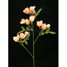 Rose Spray, light apricot (lot of 12)