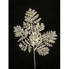 Glittered Pine Spray, white (lot of 12)