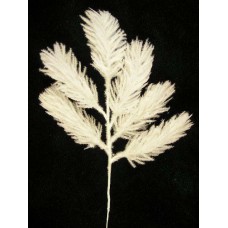 Flocked White Scotch Pine Spray (lot of 12)