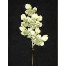 Flocked Snow Spruce Spray (lot of 6)