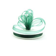 Organza Ribbon , Hunter, 3/8 Inch x 25 Yards (1 Spool) SALE ITEM