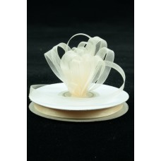 Organza Ribbon , Ivory, 3/8 Inch x 25 Yards (1 Spool) SALE ITEM