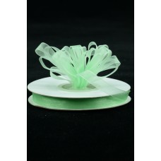 Organza Ribbon , Mint, 3/8 Inch x 25 Yards (1 Spool) SALE ITEM