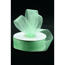 Organza Ribbon , Mint, 7/8 Inch x 25 Yards (1 Spool) SALE ITEM