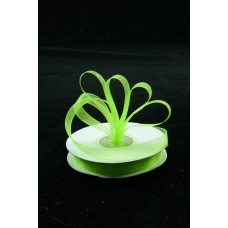 Organza Ribbon , Apple Green, 3/8 Inch x 25 Yards (1 Spool) SALE ITEM