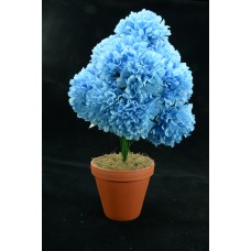 Blue Carnation-Mum Bush x12  (Lot of 1) SALE ITEM