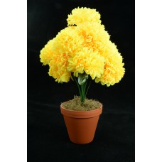 Yellow Carnation-Mum Bush x12  (Lot of 1) SALE ITEM
