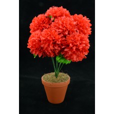 Red Carnation-Mum Bush x7  (Lot of 1) SALE ITEM