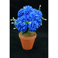 Royal Blue Carnation-Mum Bush x12  (Lot of 1) SALE ITEM