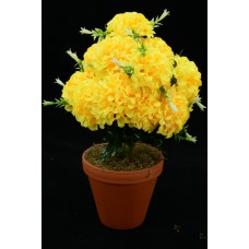 Yellow Carnation-Mum Bush x12  (Lot of 1) SALE ITEM