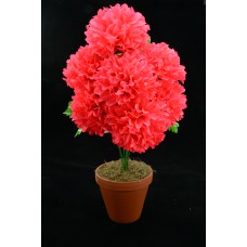 Hot Pink Carnation-Mum Bush x7  (Lot of 1) SALE ITEM