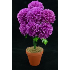 Purple Carnation-Mum Bush x7  (Lot of 1) SALE ITEM