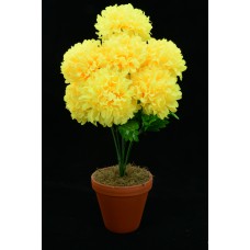 Yellow Carnation-Mum Bush x7  (Lot of 1) SALE ITEM