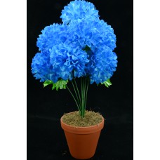 Royal Blue Carnation-Mum Bush x7  (Lot of 1) SALE ITEM