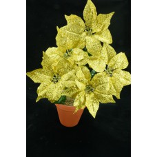 Gold Metallic Poinsettia Bush x 5 (lot of 1 bush) SALE ITEM