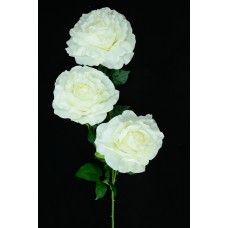 Ivory Open Rose Bush x3  (Lot of 1) SALE ITEM