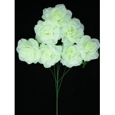 Ivory Open Rose Bush x7  (Lot of 1) SALE ITEM