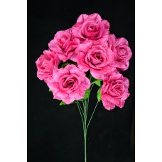 Magenta Open Rose Bush x7  (Lot of 1) SALE ITEM
