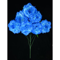 Royal Blue Open Rose Bush x7  (Lot of 1) SALE ITEM