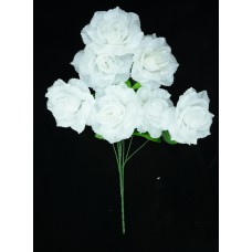 White Open Rose Bush x7  (Lot of 1) SALE ITEM