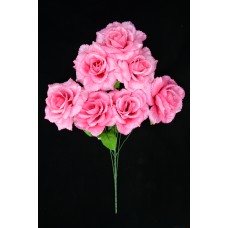 Pink Open Rose Bush x7  (Lot of 1) SALE ITEM