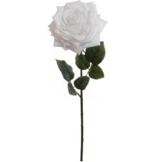 White Open Rose (lot of 12) SALE ITEM